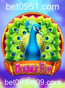 Descubra o Mundo do Jogo 'DoubleFly'