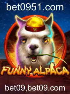 Explorando o Mundo Divertido de FunnyAlpaca
